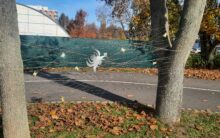 Halloween v semaforu / fotogalerie / 20251031_111857