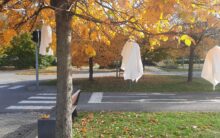 Halloween v semaforu / fotogalerie / 20251031_113443